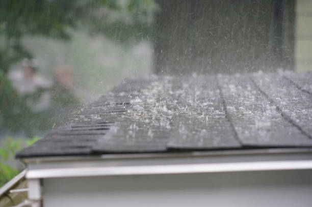 Best Roof Maintenance and Cleaning  in Red Corral, CA